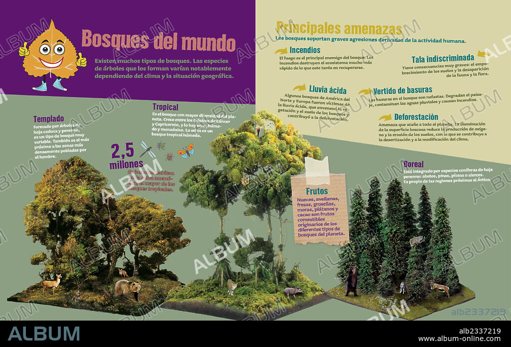 Bosques del mundo. Infografía sobre los bosques del mundo y sus amenazas.