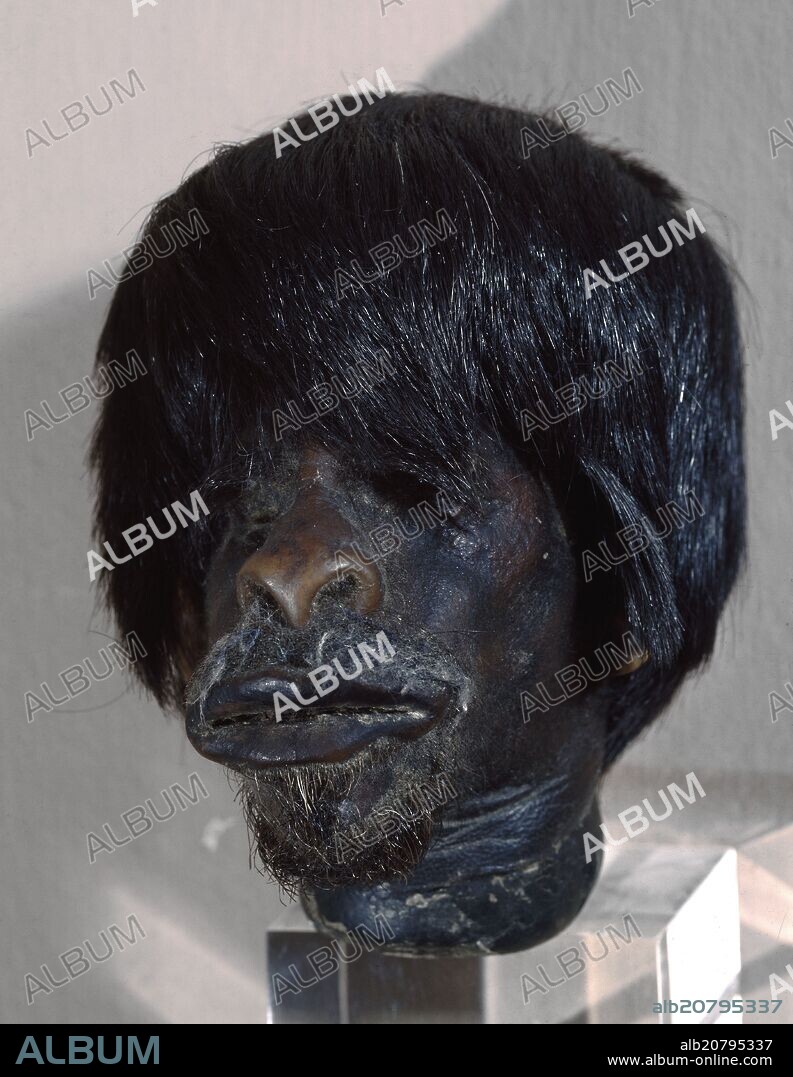 CABEZA HUMANA REDUCIDA DE JIBARO.