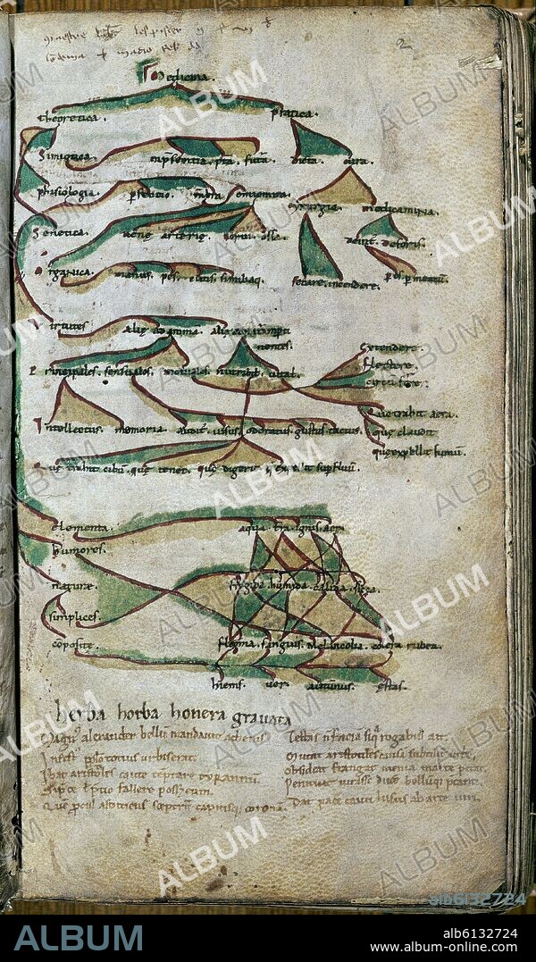 GALENO DE PERGAMO (129-201) GALENUS. MS N.III.17-ARBOR DIVISIONES MEDICINAE. LATE 12th CENTURY.