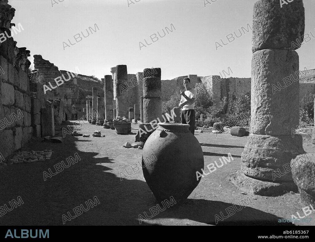 COLUMNATA DEL TEATRO ROMANO DE MERIDA CONSTRUIDO EN LOS AÑOS 15 Y 16 AC - FOTOGRAFIA EN BLANCO Y NEGRO - 1954.