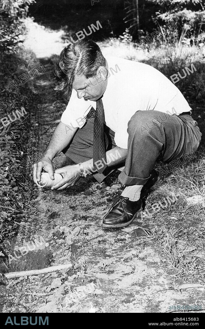 1959-07. Brottsplatsundersökare Gösta Aronsson undersöker bilspår i närheten av den senaste fyndplatsen där man hittade ett hårnät och några kammar. Rut Lind, från Fjugesta utanför Örebro, har mördats och Olle Möller är misstänkt.. Möller dömdes 1939 för mordet på tioåriga Gerd Johansson och 1959 för mordet på Rut Lind. I båda fallen nekade Möller och åtalen byggde helt på indicier och vittnesmål.. Foto: Expressen / TT / Kod: 192. **AFTONBLADET OUT**.