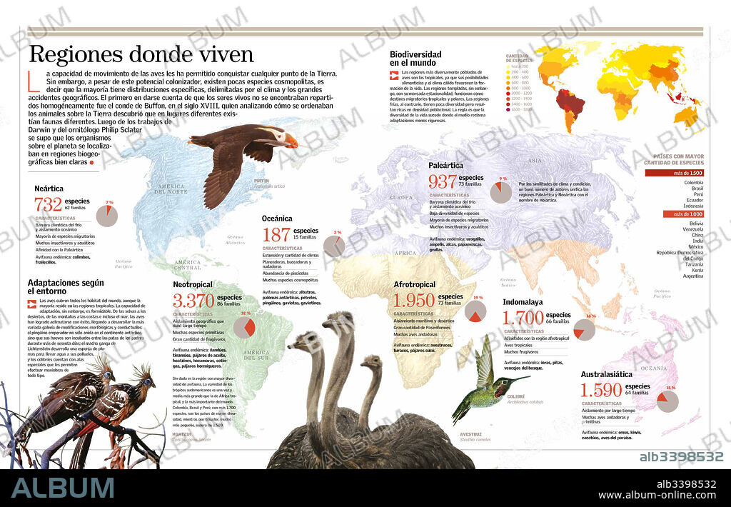 Regiones donde viven. Infografía sobre la distribución de la especies de aves en el mundo.