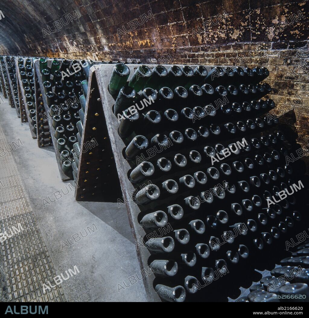 JOSEP PUIG I CADAFALCH. Cavas Codorniu, 1902-1915.  Bodega. Botellas de cava. Proceso de producción. Sant Sadurní d'Anoia.