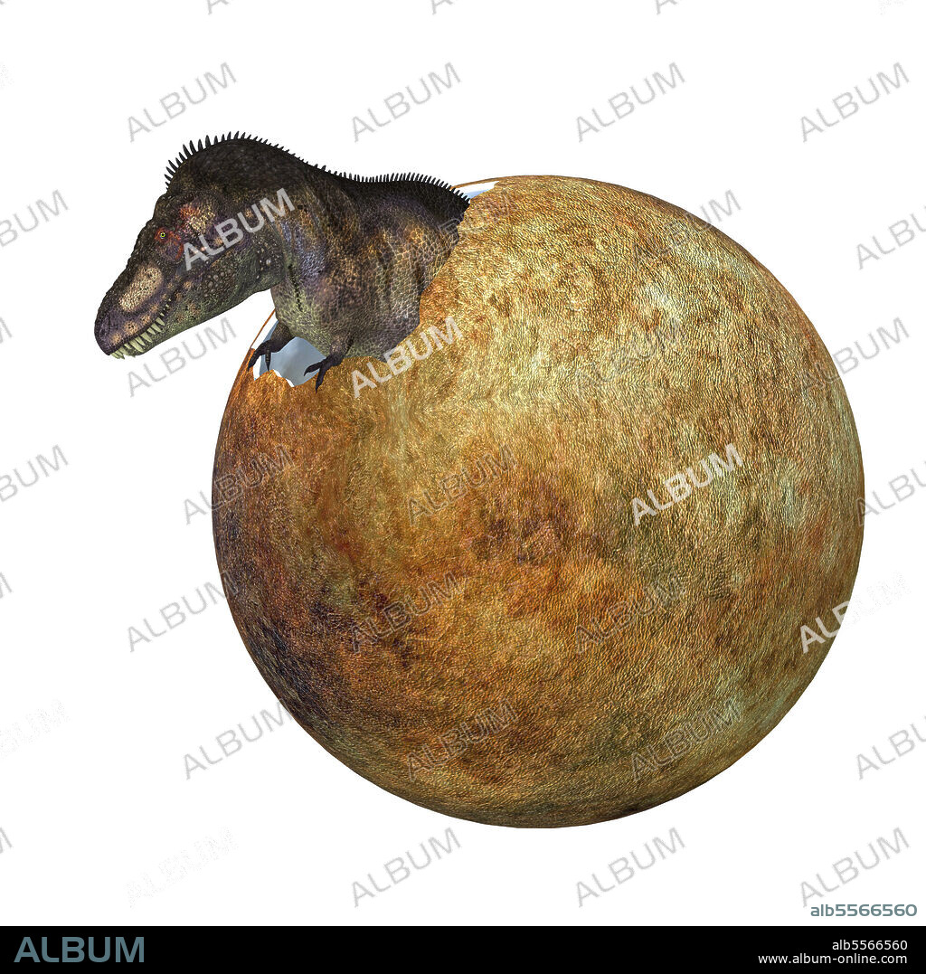 A baby Tyrannosaurus rex dinosaur hatches out of an egg during the Cretaceous Period of North America.