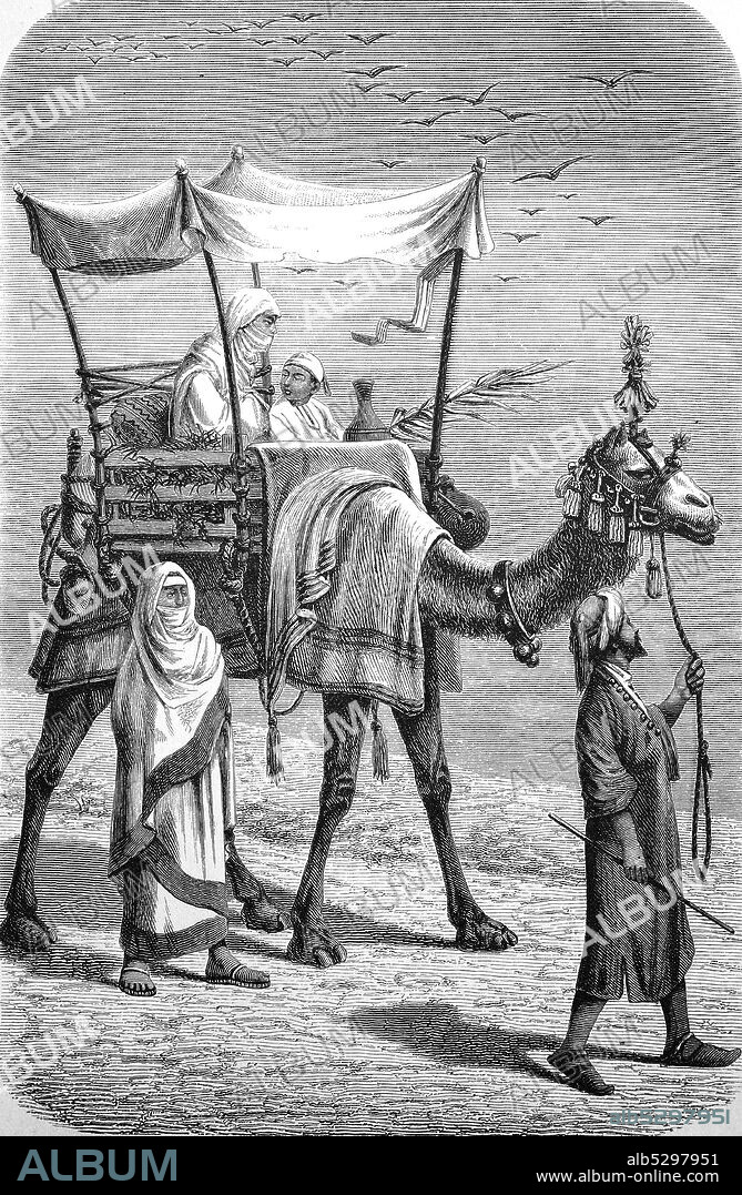 Egypt, women on the trip on a camel through the desert, veil, camel drivers, litter, ca 1850  /  aegypten, Frauen auf der Reise auf einem Kamel durch die Wueste, Schleier, Kamelfuehrer, Saenfte, ca 1850, historical, digital improved reproduction of an original from the 19th century / digitale Reproduktion einer Originalvorlage aus dem 19. Jahrhundert.