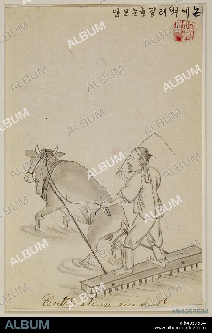 KISAN (KIM CHUN-GUN). A farmer standing on a harrow being pulled by an ox. Kisan hwa. [Kisan paintings]. Late 19th century. Album of 100 genre paintings with captions by Kisan [Kim Chun-gun, fl. 1880-1890]. Source: Or.14344, f.70. Language: Korean.