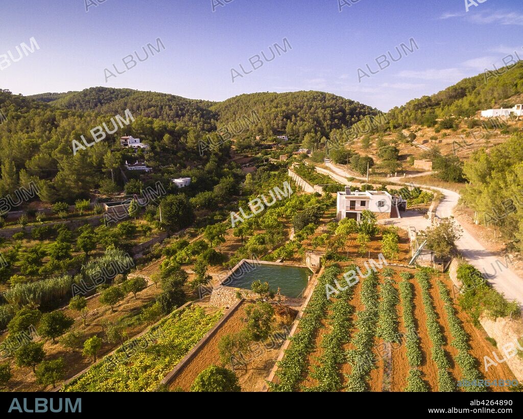 huertos en Broll de Buscastell, San Antonio de portmany,Ibiza, balearic islands, Spain.