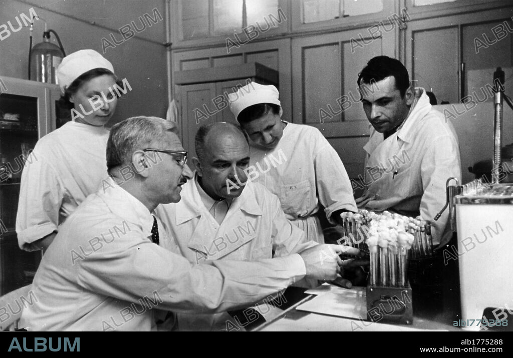 Albert Sabin in a laboratory with other physicians. Polish virologist Albert Bruce Sabin showing some test tubes to Russian scientist  Soloviev in a laboratory. Sabin went to Soviet Union to explain his polio research. USSR, 1950s.