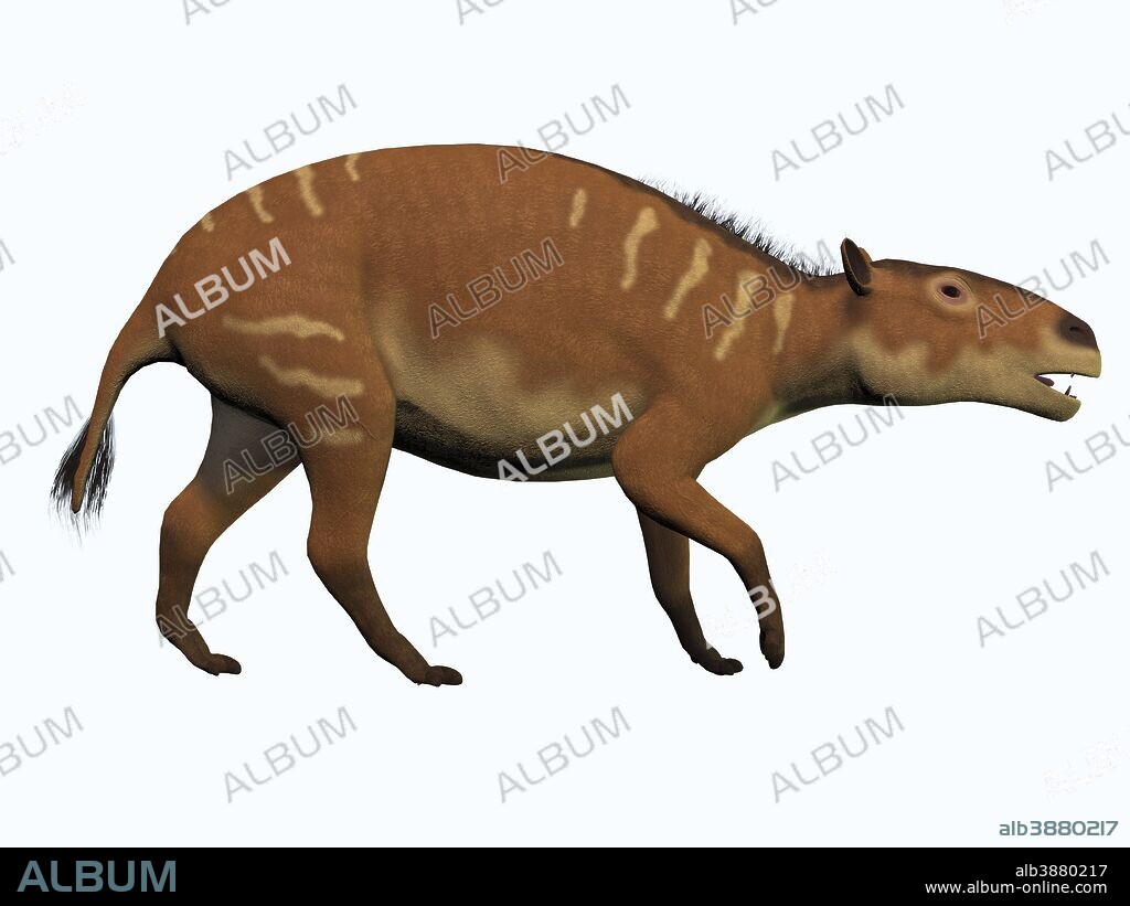 Eurohippus is one of the ancestors of the modern horse and lived in the Eocene Period in tropical forests of Europe.