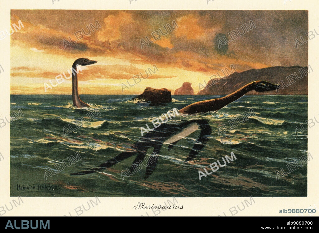Plesiosaurus dolichodeirus in the ocean. Plesiosaurus (Greek: plesios, "near" and sauros "lizard") was a large marine sauropterygian reptile that lived during the early part of the Jurassic Period. Plesiosaurus. Colour printed illustration by Heinrich Harder from Wilhelm Bolsches Tiere der Urwelt (Animals of the Prehistoric World), Reichardt Cocoa company, Hamburg, 1908. Heinrich Harder (1858-1935) was a German landscape artist and book illustrator.