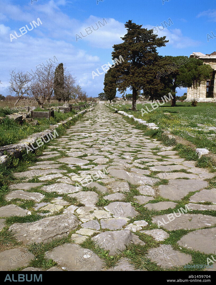 ARTE GRIEGO. MAGNA GRECIA. ITALIA. PAESTUM (antigua ciudad griega de Poseidonia o Posidonia). Vista general de la zona arqueológica pertenecinete a la antigua ciudad de época griega. Vista de la VIA SACRA. La Campania. Sur de Italia. Europa.