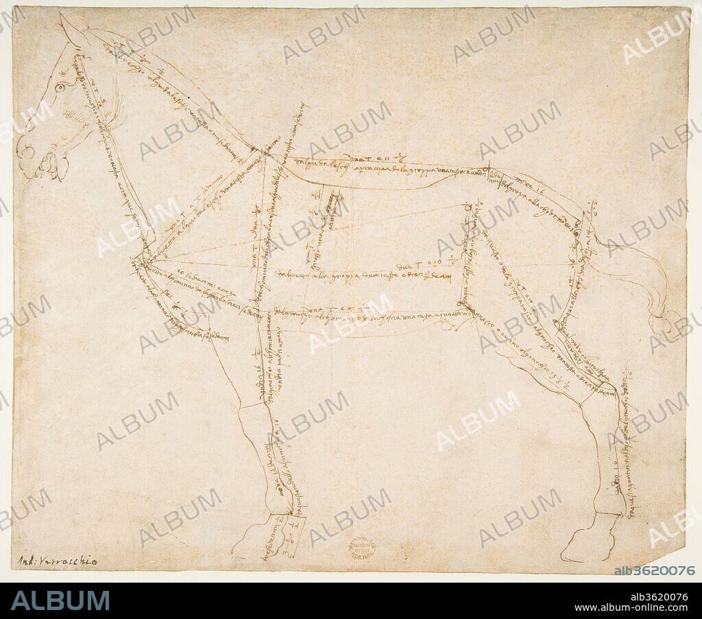 Measured Drawing of a Horse Facing Left (recto). Artist: Andrea del Verrocchio (Italian, Florence 1435-1488 Venice). Dimensions: Overall: 9 13/16 x 11 11/16 in. (24.9 x 29.7 cm) maximum. Date: ca. 1480-88.
This drawing is a remarkable example of the Renaissance preoccupation with ideal proportions, as seen in the Vitruvian Man by Leonardo da Vinci, Verrocchio's most famous pupil. Verrocchio began this drawing by making a semi-stylized outline of the subject. He then further schematized the body by dividing it up and inscribing it with detailed measurements. The precision of the measurements supports the idea that this study was related to the bronze equestrian statue for Bartolomeo Colleoni-- a commission Verrocchio won in a competition announced by the Republic of Venice in 1479 and was awarded in 1483.