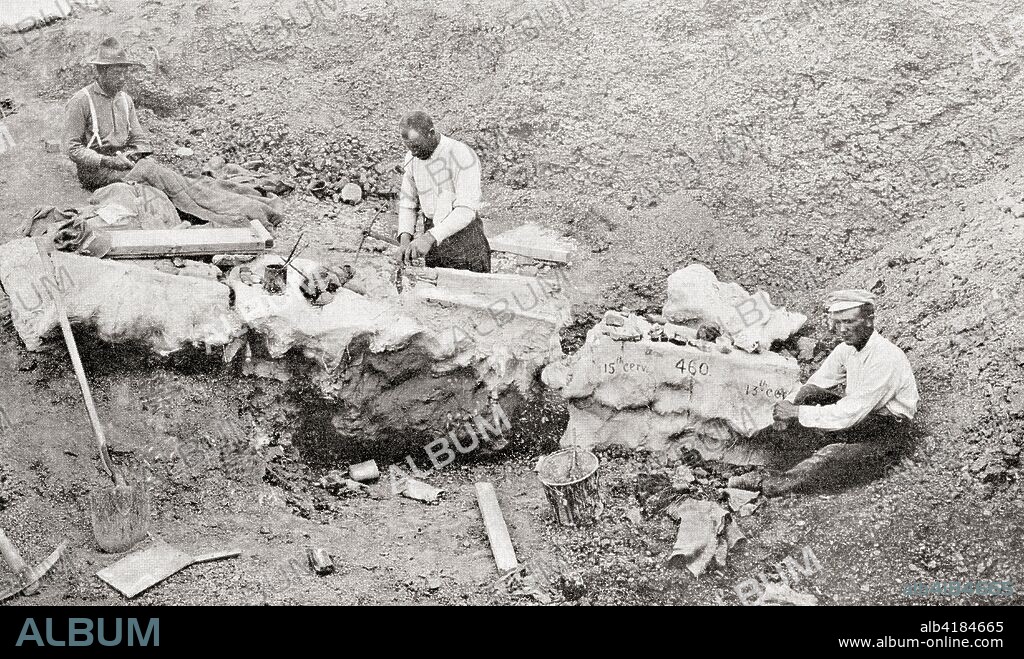 The giant bones of a mammoth being unearthed from Bone Cabin Quarry, a dinosaur quarry near Laramie, Wyoming near historic Como Bluff, United States of America.   From The Wonders of the World, published c.1911.