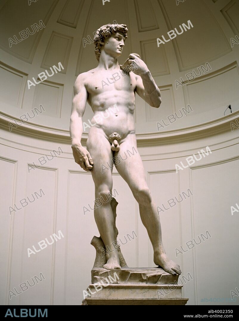 Statue of David, Accademia Gallery, Florence, Italy. One of Michelangelo's greatest masterpieces, his sculpture of David was unveiled in 1504. It originally stood in the Piazza della Signoria, but was moved to the Accademia in 1873 to protect it from damage.