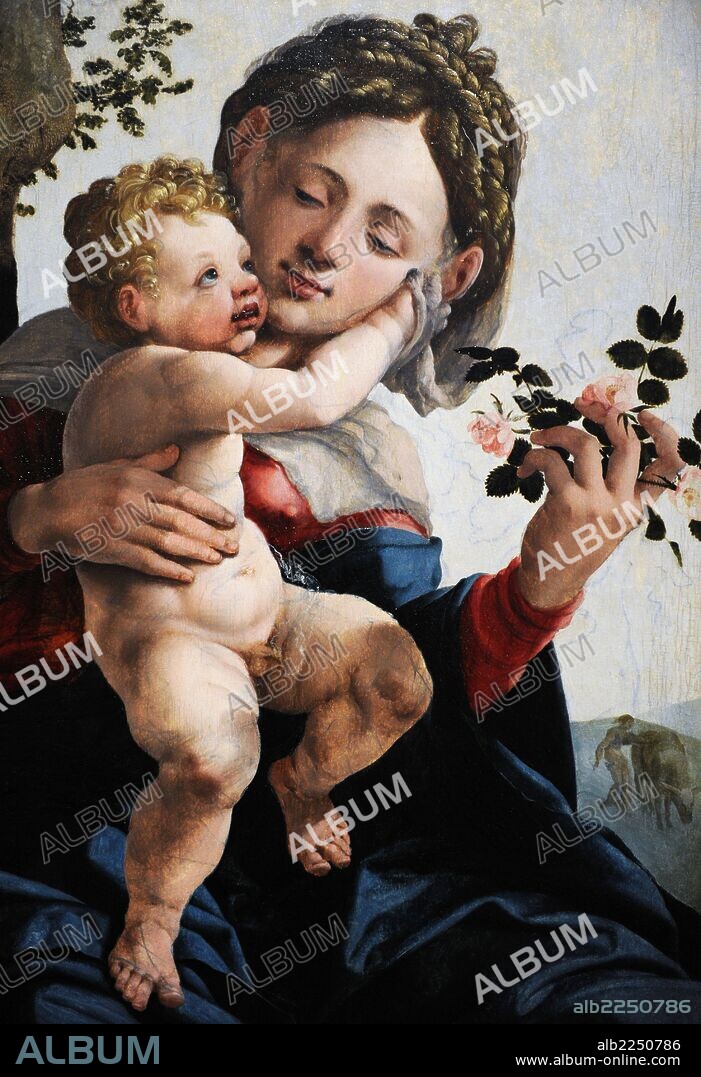 ARTE RENACIMIENTO. HOLANDA. Jan van Scorel (1495-1562). Pintor holandés al que se le atribuye la introducción del arte del Alto renacimiento italiano en los Países Bajos. "Virgen con rosas silvestres", 1530. Centraal Museum. Utrecht. Holanda.