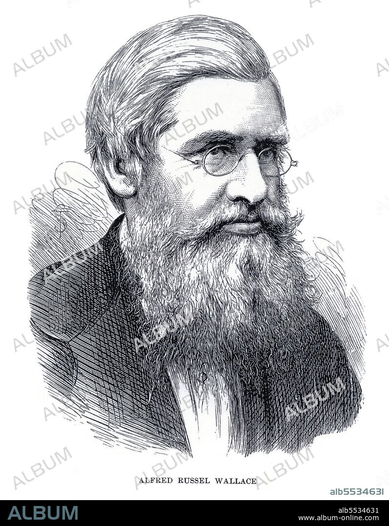 Alfred Russel Wallace OM FRS (8 January 1823 – 7 November 1913) was a British naturalist, explorer, geographer, anthropologist, and biologist. He is best known for independently conceiving the theory of evolution through natural selection; his paper on the subject was jointly published with some of Charles Darwin's writings in 1858. This prompted Darwin to publish his own ideas in <i>On the Origin of Species.</i> Wallace did extensive fieldwork, first in the Amazon River basin and then in the Malay Archipelago, where he identified the faunal divide now termed the Wallace Line, which separates the Indonesian archipelago into two distinct parts: a western portion in which the animals are largely of Asian origin, and an eastern portion where the fauna reflect Australasia. Wallace was a prolific author who wrote on both scientific and social issues; his account of his adventures and observations during his explorations in Singapore, Indonesia and Malaysia, <i>The Malay Archipelago,</i> is regarded as probably the best of all journals of scientific exploration published during the 19th century.