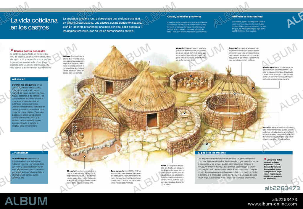 La vida cotidiana en los castros. Infografía de las costumbres y disposición de los castros (poblados celtas) propios de los pueblos celtas que se desarrollaron en la edad de los metales en Europa occidental.