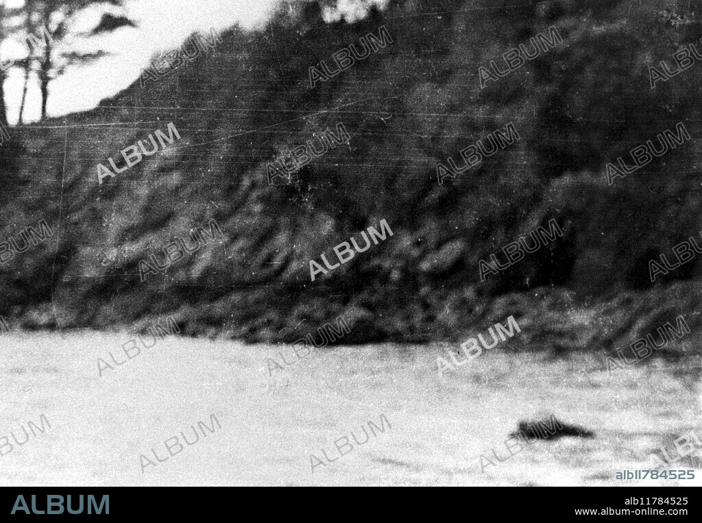 Possible photograph of Morag, the monster of Loch Morar, Highlands of Scotland, taken by Miss M. Lindsay on 31st January 1977.