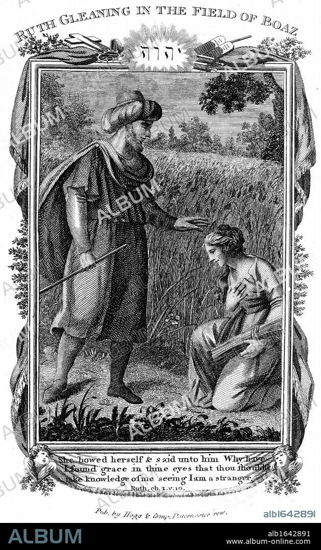 Ruth, Moabite widow, gleaning amongst the corn, and attracts the attention of Boaz who marries her. Thus she becomes great-grandmother of King David. Ruth 2:10. Copperplate engraving c1804.