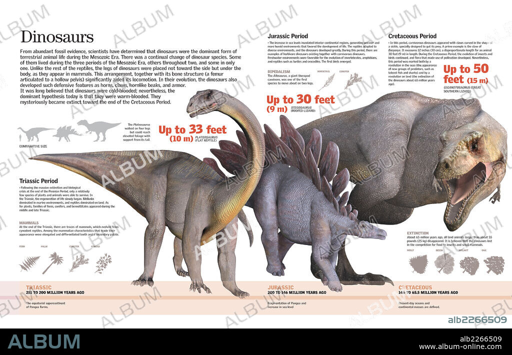 Los dinosaurios. Infografía de las especies de dinosaurios que dominaron la Tierra durante el Triásico, Jurásico y Cretácico.