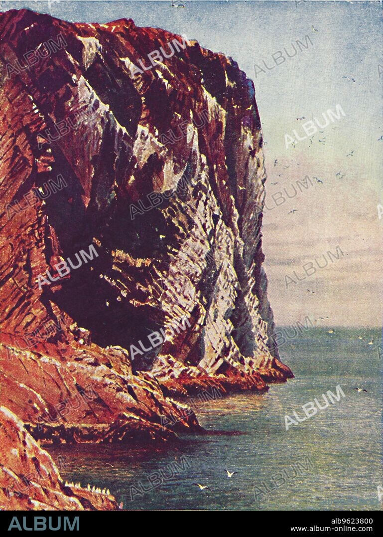 HAROLD SUTTON PALMER. 'Bass Rock', 1910. From The British Isles in Pictures, by H. Clive Barnard, M.A., D.Lit. [A. & C. Black, Limited, London, 1910].