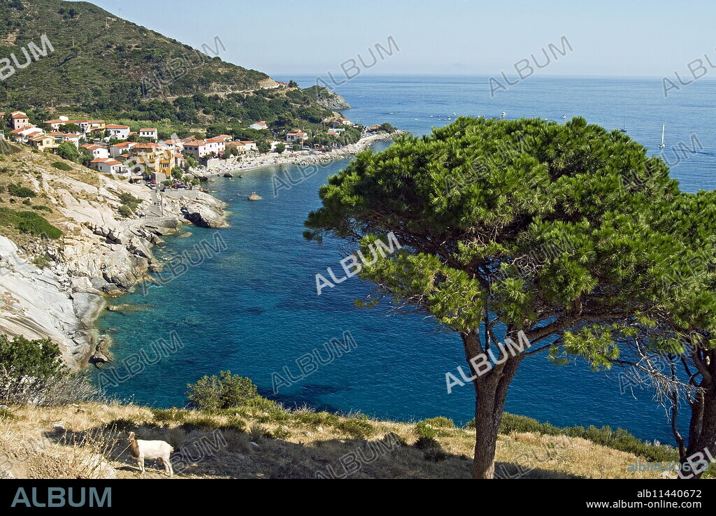 Pomonte, Isola d'Elba, Elba, Tuscany, Italy, Europe.