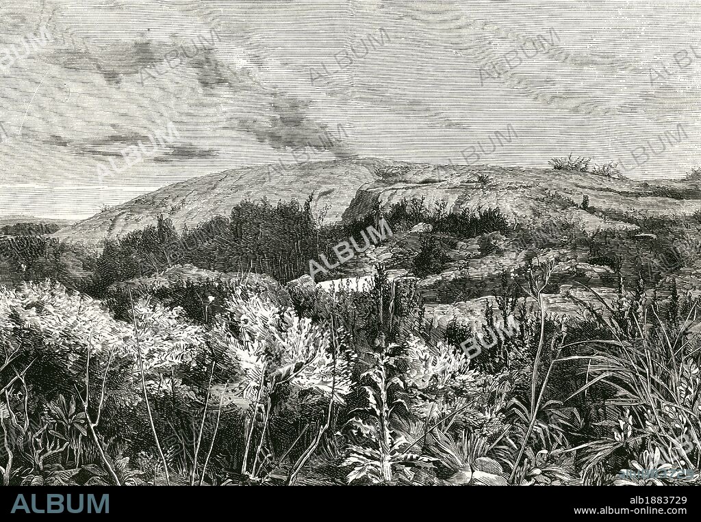 HISTORIA DE URUGUAY. SIGLO XIX. PIEDRA ALTA. Lugar en el que se pactó la independencia del país, en 1825. Grabado por Carretero para "La Ilustración Española y Americana" (año 1876) .