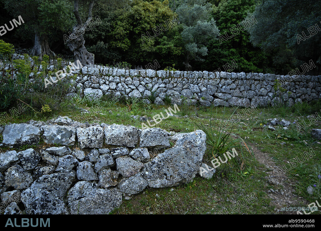 Pared de piedra seca.Biniforani.Bunyola. Mallorca. Baleares.España.