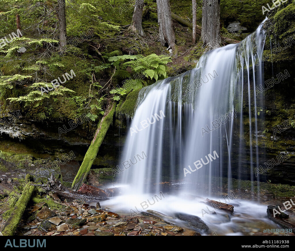 Fern Falls, Coeur d'Alene National Forest, Idaho Panhandle National Forests, Idaho, United States of America, North America.