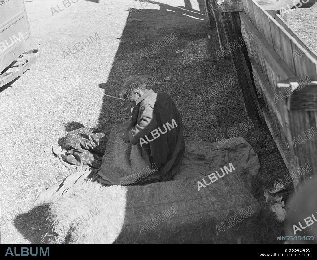 DOROTHEA LANGE. Hobo wakes up early in the morning from his bed alongside a corral. Imperial Valley, California.