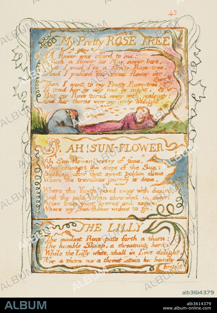 Songs of Innocence and of Experience: My Pretty Rose Tree, Ah! Sun-Flower, The Lily. Artist: William Blake (British, London 1757-1827 London). Dimensions: sheet: 6 3/16 x 5 9/16 in. (15.7 x 14.1 cm). Date: ca. 1825.