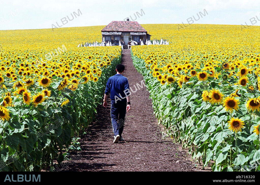 EUGENE HUTZ en TODO ESTA ILUMINADO, 2005 (EVERYTHING IS ILLUMINATED), dirigida por LIEV SCHREIBER. Copyright WARNER INDEPENDENT PICTURES / DAVIDSON, NEIL.