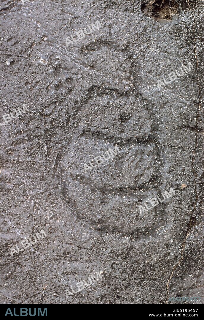 PETROGLIFO GUANCHE - INSCRIPCION DE ALFABETO LIBICO-BEREBER - S XV.
