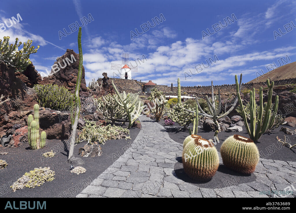 CÉSAR MANRIQUE. Cactus garden (Jardin de Cactus) by Cesar Manrique, wind mill, UNESCO Biosphere Reserve, Guatiza, Lanzarote, Canary Islands, Spain, Europe.