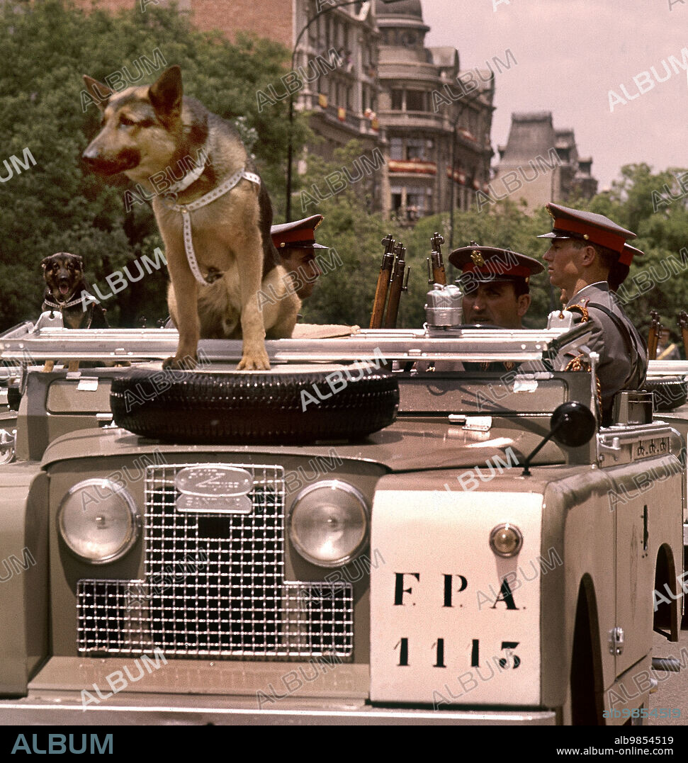 POLICIA ARMADA EN JEEPS CON PERROS - FOTO AÑOS 60.