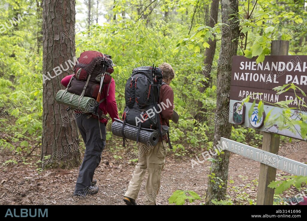 NICK NOLTE y ROBERT REDFORD en UN PASEO POR EL BOSQUE, 2015 (A WALK IN THE WOODS), dirigida por KEN KWAPIS. Copyright WILDWOOD ENTERPRISES.