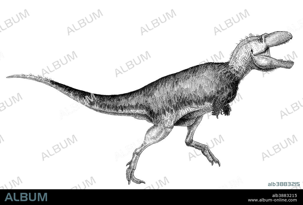 Black ink drawing of Bistahieversor sealeyi. Bistahieversor sealeyi was a tyrannosaurid theropod from the Late Cretaceous of North America.