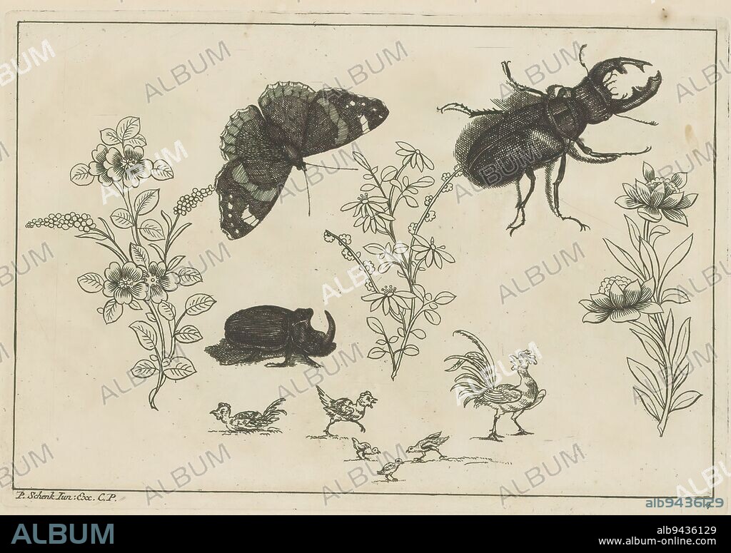 Three flower branches with rhino beetle, butterfly and beetle, Chinese flowers and insects (series title), Three flower branches with rhino beetle, butterfly and beetle. Below a chicken, rooster and chicks. Print is part of an album., print maker: Pieter Schenk (II), after design by: Pieter Schenk (II), publisher: Pieter Schenk (II), (mentioned on object), print maker: Amsterdam, publisher: Leipzig, 1727 - 1775, paper, etching, height 167 mm × width 244 mm.