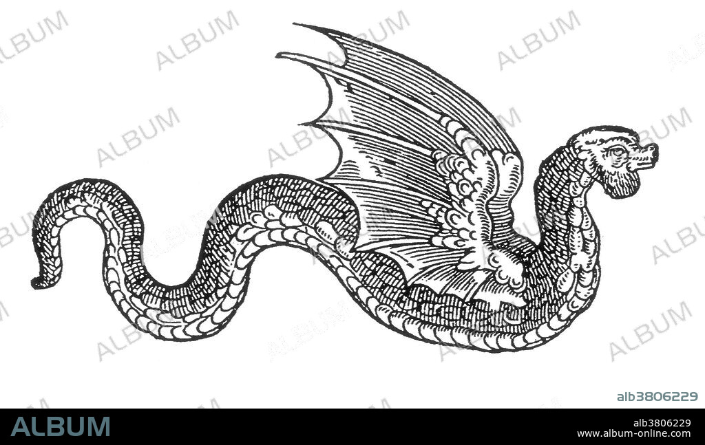 A wattled amphiptere, which appeared in Edward Topsell's bestiary, The Historie of Serpents, 1608. Wattled is a term used in describing the gills of a cock. An amphiptere is a winged serpent. The serpent, or snake, is one of the oldest and most widespread mythological symbols. The word is derived from Latin serpens, a crawling animal or snake. Snakes have been associated with some of the oldest rituals known to humankind.