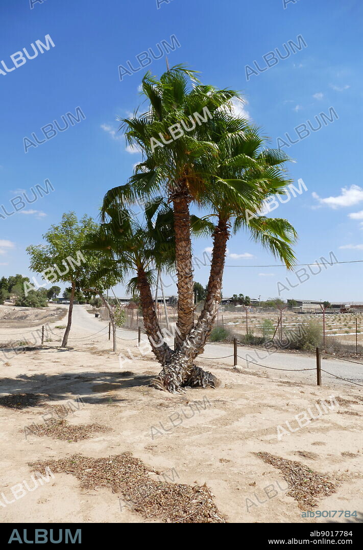 Kibbutz Revivim, Negev Desert, Southern Israel.