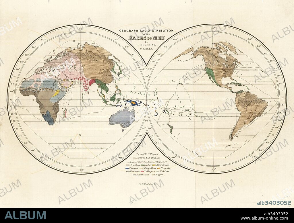 World map of the Geographical Distribution of the Races of Men. Arabian in pink, Malay in green, Abyssinian in yellow, Papuan in dark blue, Mongolian in beige, Negrillo in ochre, Hottentot in blue, Telingan in red, Nubian in steel blue; Australian in sky blue and Negro in grey. Handcoloured steel engraving by J & C Walker after an illustration by Charles Pickering from his The Races of Man, London, 1850.