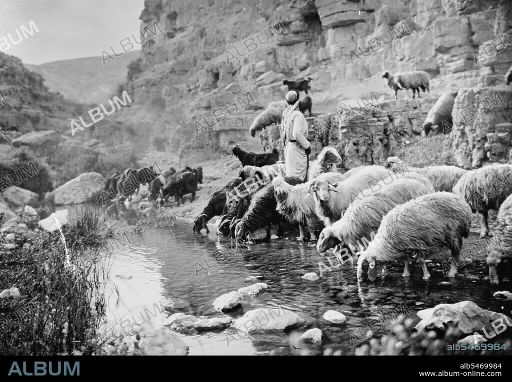 Image of shepherd life, shepherds and their sheep, illustrating the Twenty Third Psalm ca. 1900.