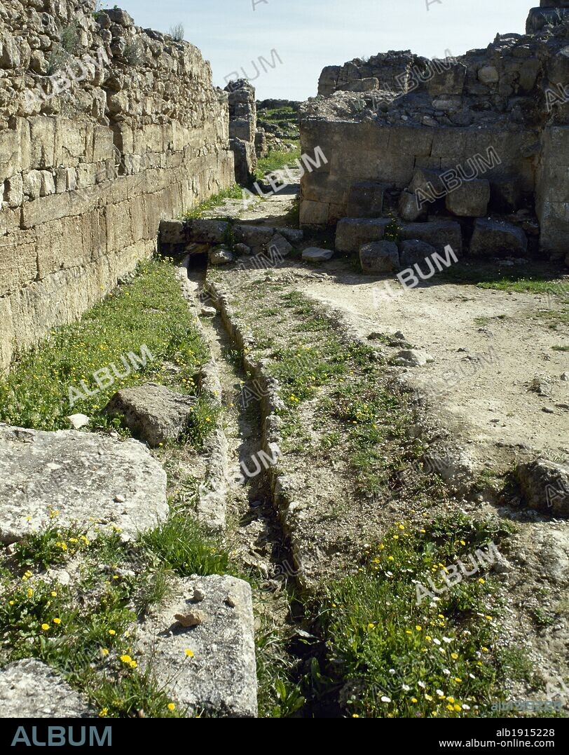 ARTE FENICIO. UGARIT. Antigua ciudad de Siria, junto al puerto de Minet. Estuvo habitada desde el-VII milenio (neolítico), pero su época de esplendor se situa entre finales del-III milenio y-II milenio. Vista de una de las numerosas ACEQUIAS de la ciudad. El agua desempeñaba un papel fundamental en los ritos funerarios. RAS SHAMRA. SIRIA.