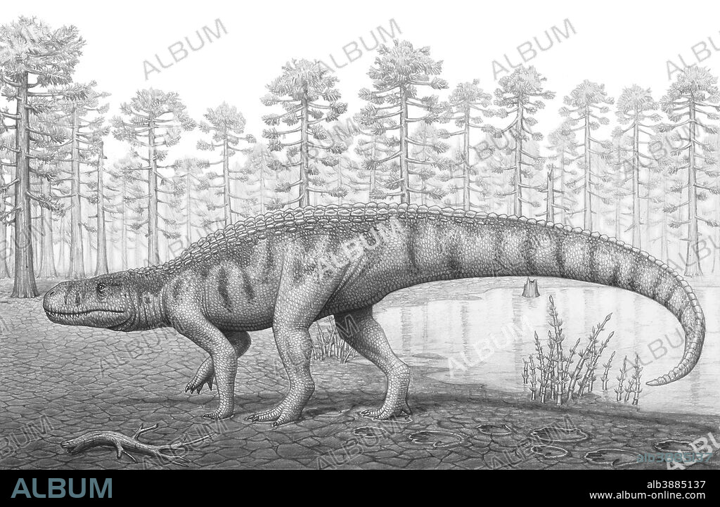 A Chirotherium roams a prehistoric era landscape.