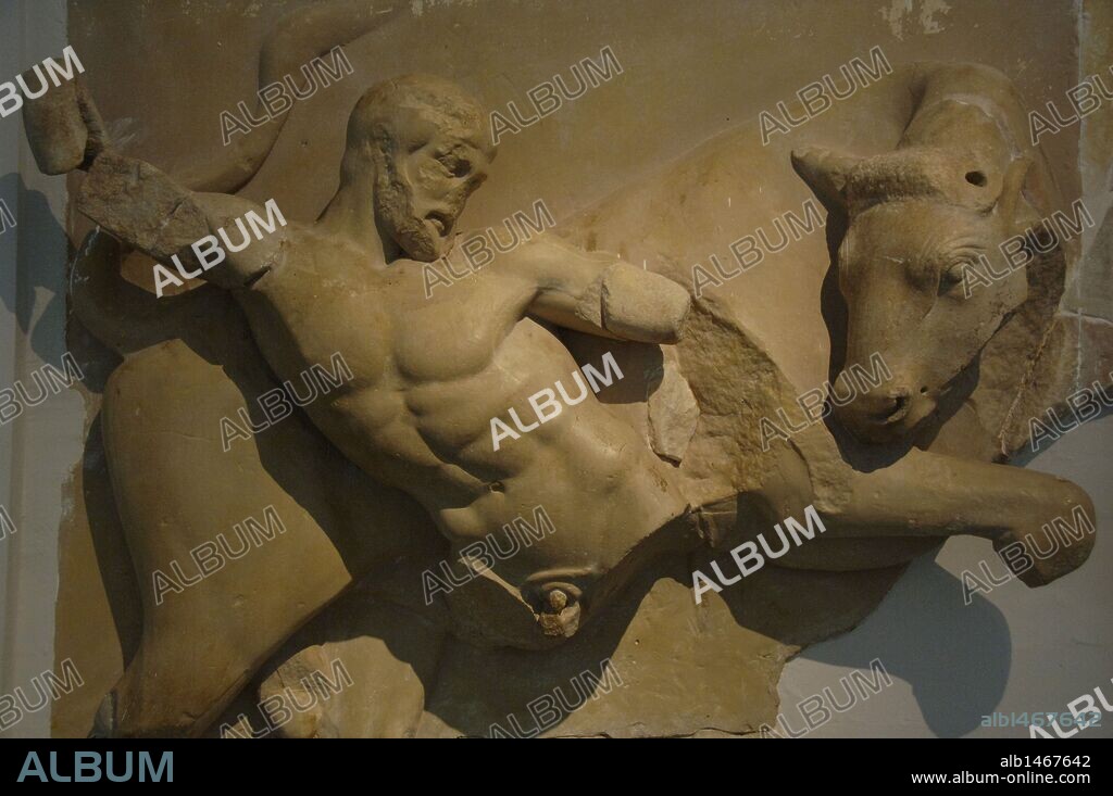 ARTE GRIEGO. GRECIA. S. V a. C. LOS DOCE TRABAJOS DE HERACLES (HERCULES). SEPTIMO TRABAJO: CAPTURAR AL TORO DE CRETA. Copia de la cuarta METOPA del TEMPLO DE ZEUS en el Santuario de Olimpia. Esculpida en mármol de Paros. Fechado hacia el año 460 a. C. Museo Arqueológico de Olimpia. Provincia de Ilía. Región del Peloponeso. Grecia.