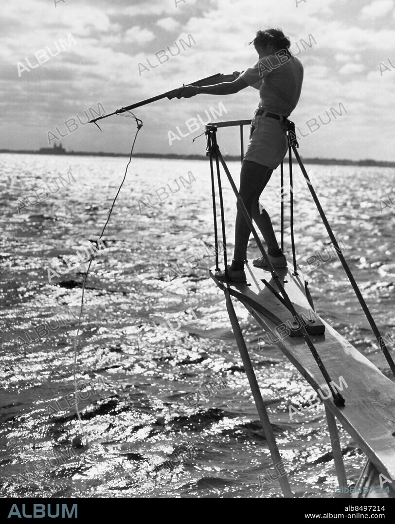 Orig. bildtext... GIRL CONQUERS SHARK WITH HARPOON GUN West Palm Beach, Fla. Already awarded the Catalin sailfish pin for entering the first sailfish in the Fishing Derby here, Jean Smythe, Ohio state skeet champion, matched her shooting eye with the cunning and strength of a 300-pound, 12-foot hammerhead shark -- and emerged victorious. Combining the thrills of fishing with those of big game hunting, Mrs. Smythe used a new type sport harpoon gun. Weighing only 100 pounds, she was exerted to the utmost of her strength and skill to bring the big fish in. Mrs. Smythe is a resident of Cleveland, Ohio. PHOTO SHOWS: Wearing her lucky catalin sailfish on her trunks, Jean Smythe stands silhouetted against the sky, taking aim at the shark from the cruiser Netop. Anm. Sportfiske Tävlingsdeltagare Hajfiske Målinriktad Målmedveten Koncentration Prickskytt Havsfiske Sikta CD240 persons: Jean Smythe sites: FLORIDA ;USA ;WEST PALM BEACH.
