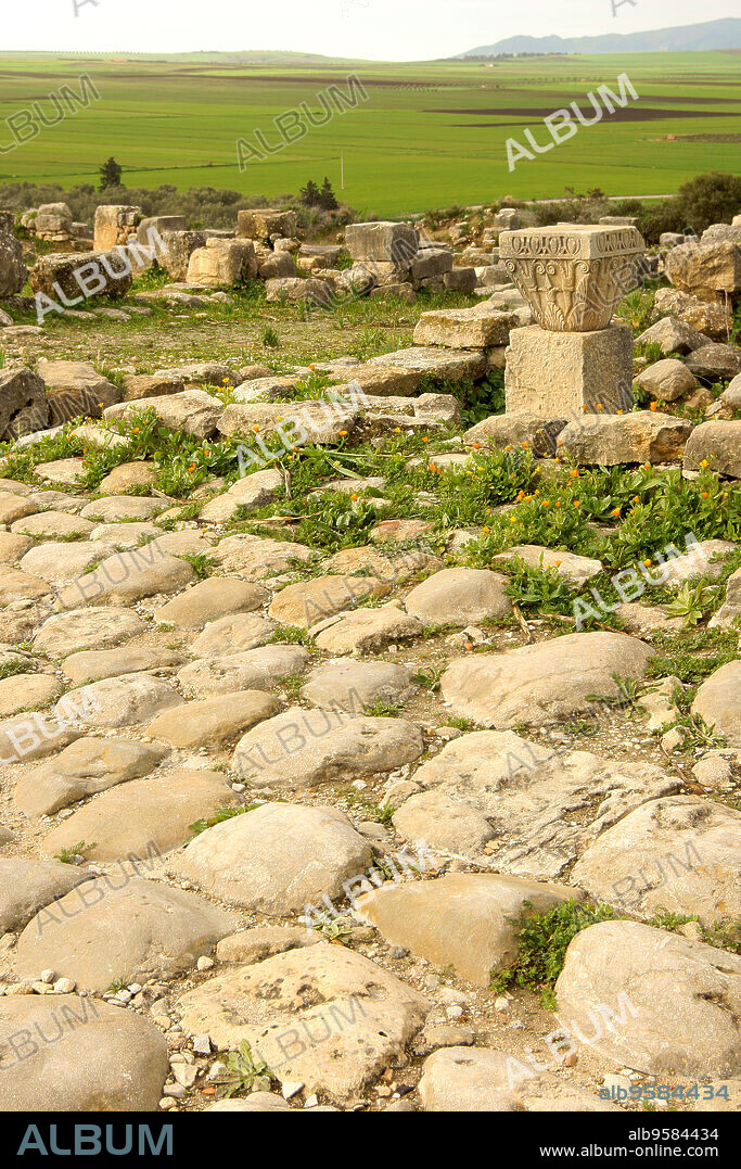 Calzada romana.Ciudad Romana de Volubilis(II d.c.), yacimiento arqueologico.Marruecos.