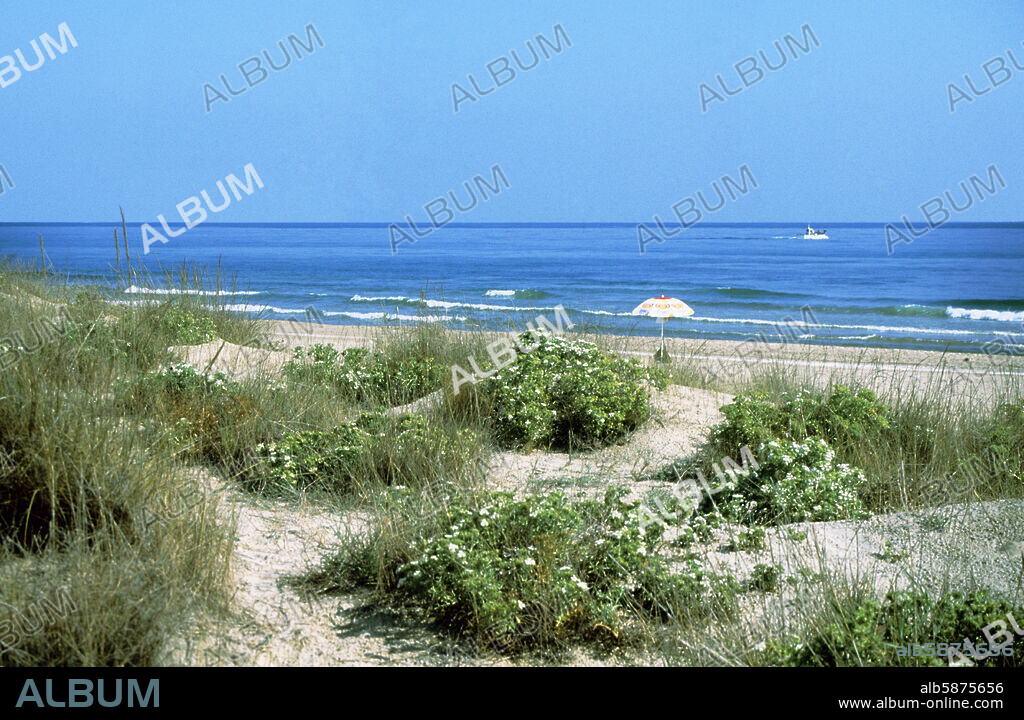 Oliva, dunes at the Terranova beach; comarca La Safor region.