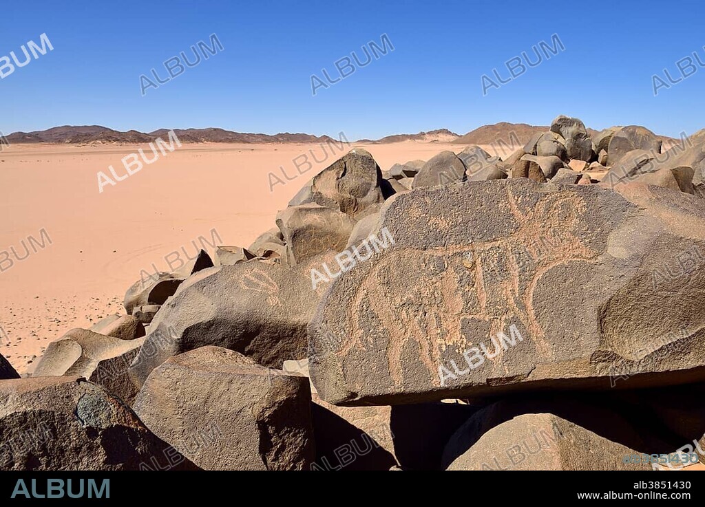 Neolithic rock art, Bubaline or Bubalus period, rock engraving of a cow or bull, Tassili n'Ajjer National Park, Unesco World Heritage Site, Sahara desert, Algeria