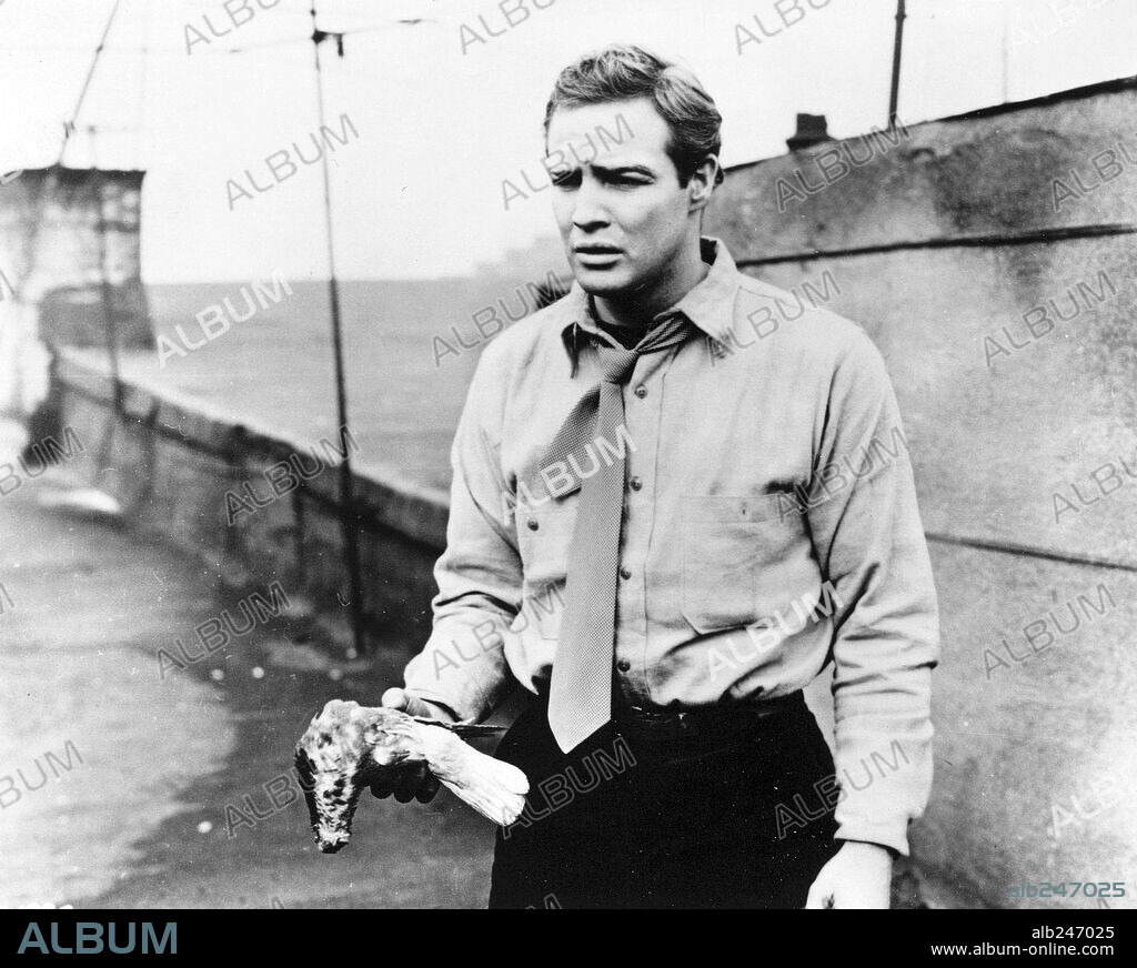 MARLON BRANDO en LA LEY DEL SILENCIO, 1954 (ON THE WATERFRONT), dirigida por ELIA KAZAN. Copyright COLUMBIA PICTURES.